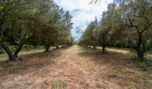 Vente Maison Taillades