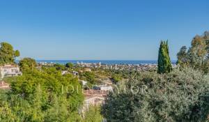 Vente Maison Vallauris