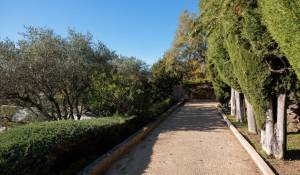 Vente Maison Vence