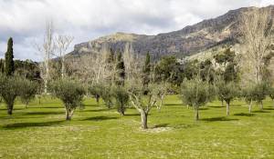 Vente Manoir Escorca