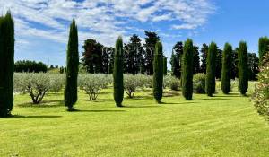 Vente Mas L'Isle-sur-la-Sorgue