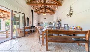Vente Mas L'Isle-sur-la-Sorgue
