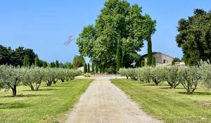 Vente Mas L'Isle-sur-la-Sorgue