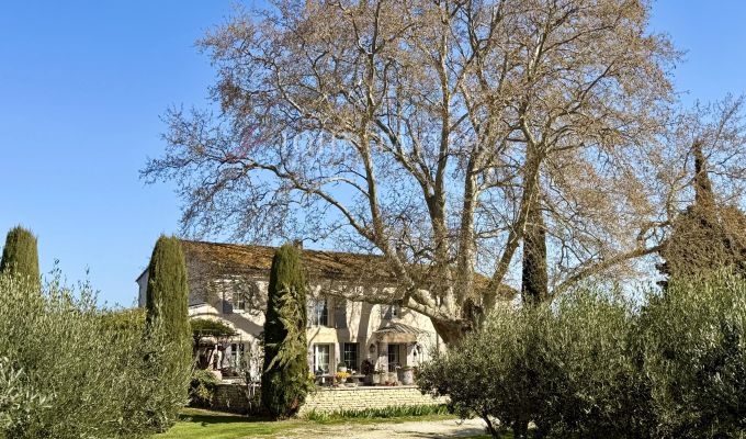Vente Mas L'Isle-sur-la-Sorgue
