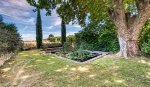 Vente Mas Lourmarin