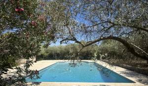 Vente Mas Saint-Rémy-de-Provence