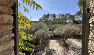 Vente Mas Saint-Rémy-de-Provence