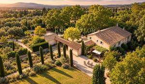 Vente Mas Saint-Rémy-de-Provence