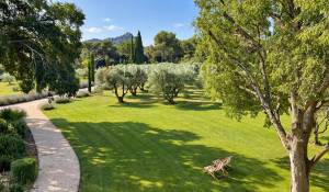 Vente Mas Saint-Rémy-de-Provence