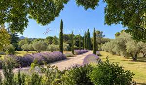 Vente Mas Saint-Rémy-de-Provence