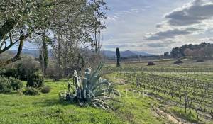 Vente Mas Villedieu