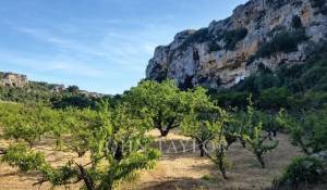 Vente Propriété Alaior