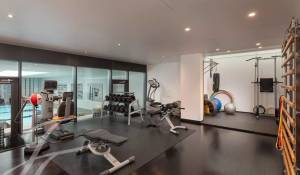 Vente Propriété Anières