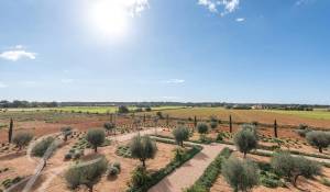 Vente Propriété Campos