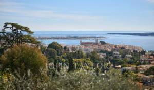 Vente Propriété Cannes
