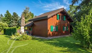 Vente Propriété Collonge-Bellerive