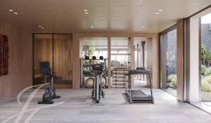 Vente Propriété Collonge-Bellerive