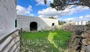 Vente Propriété Es Castell