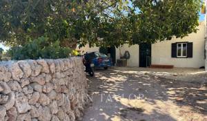 Vente Propriété Es Castell