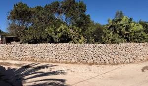 Vente Propriété Es Castell