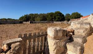 Vente Propriété Es Castell