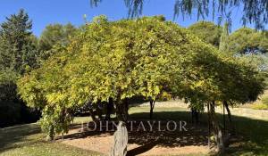 Vente Propriété La Cadière-d'Azur