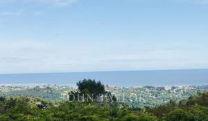 Vente Propriété La Colle-sur-Loup