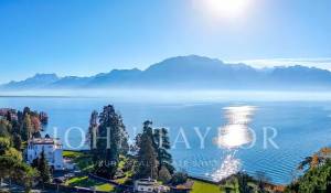 Vente Propriété La Tour-de-Peilz