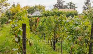 Vente Propriété Libourne