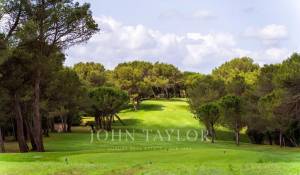 Vente Propriété Mallemort