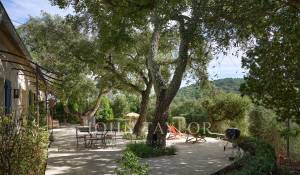 Vente Propriété Mandelieu-la-Napoule