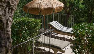 Vente Propriété Mandelieu-la-Napoule