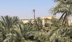 Vente Propriété Marrakech