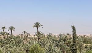 Vente Propriété Marrakech