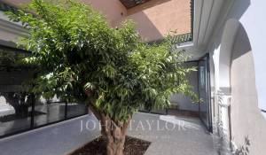 Vente Propriété Marrakech
