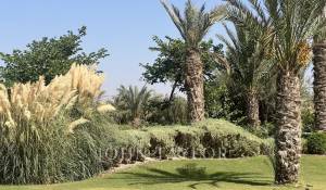 Vente Propriété Marrakech