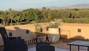 Vente Propriété Marrakech