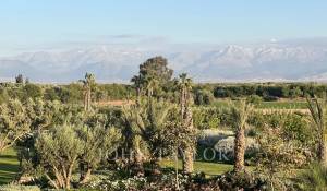 Vente Propriété Marrakech