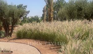 Vente Propriété Marrakech
