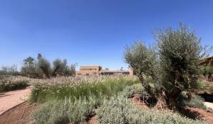 Vente Propriété Marrakech