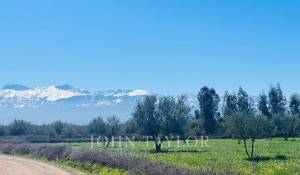 Vente Propriété Marrakech