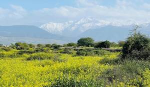 Vente Propriété Marrakech