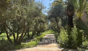 Vente Propriété Marrakech