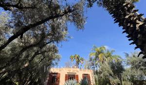 Vente Propriété Marrakech