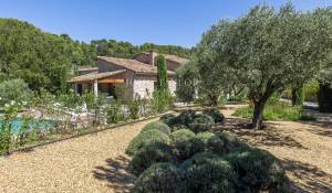 Vente Propriété Ménerbes