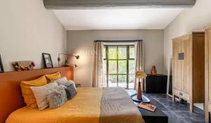 Vente Propriété Ménerbes