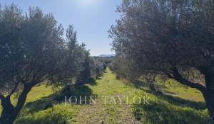 Vente Propriété Ollioules