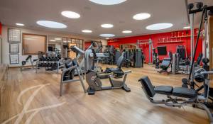 Vente Propriété Plan-les-Ouates
