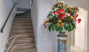 Vente Propriété Presinge