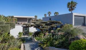 Vente Propriété Ramatuelle